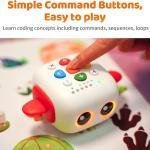 MatataStudio Tale-Bot Pro Classroom Set